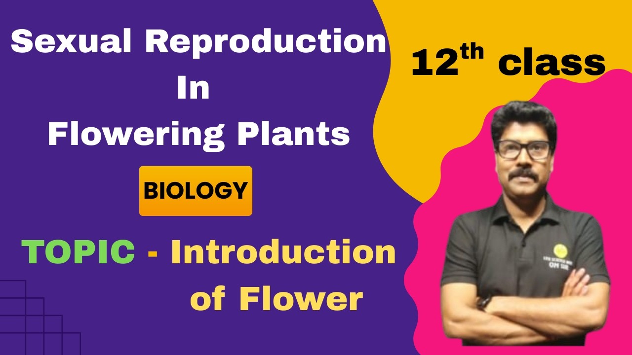 SEXUAL REPRODUCTION IN FLOWERING PLANTS  #cbse12thbiology #education #motivation #cbse #lifescience