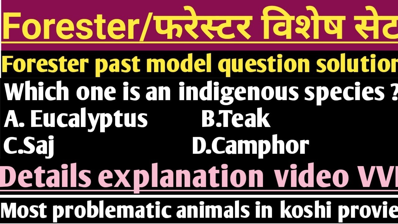 Forester past model question solution/फरेस्टर विशेष नमुना प्रश्नसेट समाधान#forester #forestranger