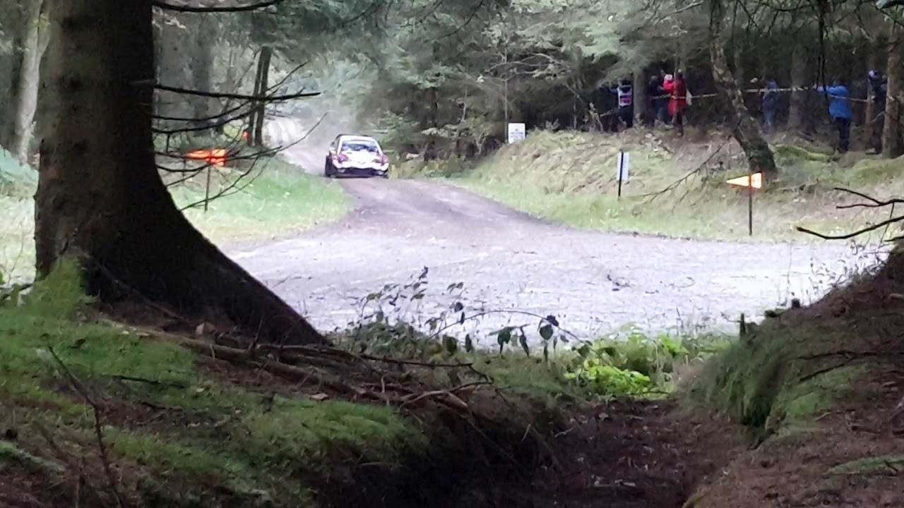 WRC- Ott Tanak crash shakedown 2018 Wales rally GB
