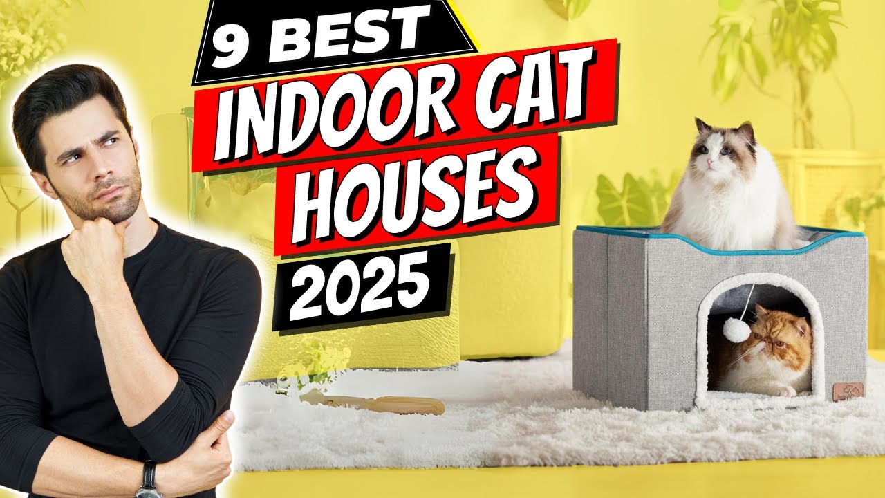 The 9 Best Indoor Cat Houses of 2025 | Get the Best Indoor Cat House Now!