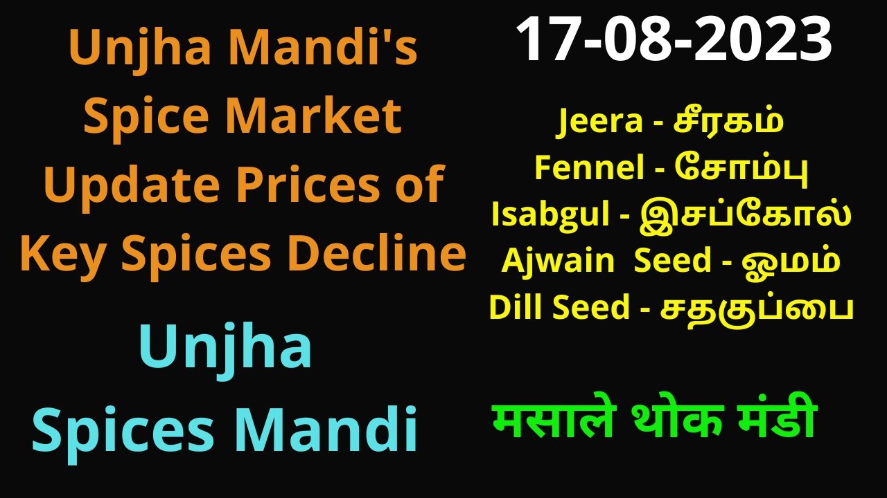 Unjha Mandi's Spice Market Update Prices of Key Spices Decline | Cumin Price | Fennel Price | Ajwain