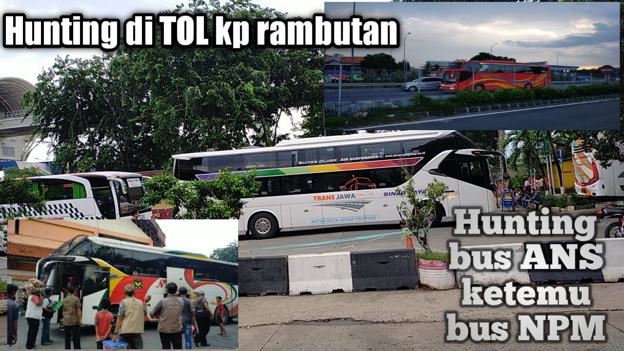 Berburu Bus baru Antar kota antar propinsi dari ranah Minang | diterminal bus AKAP KP.rambutan.