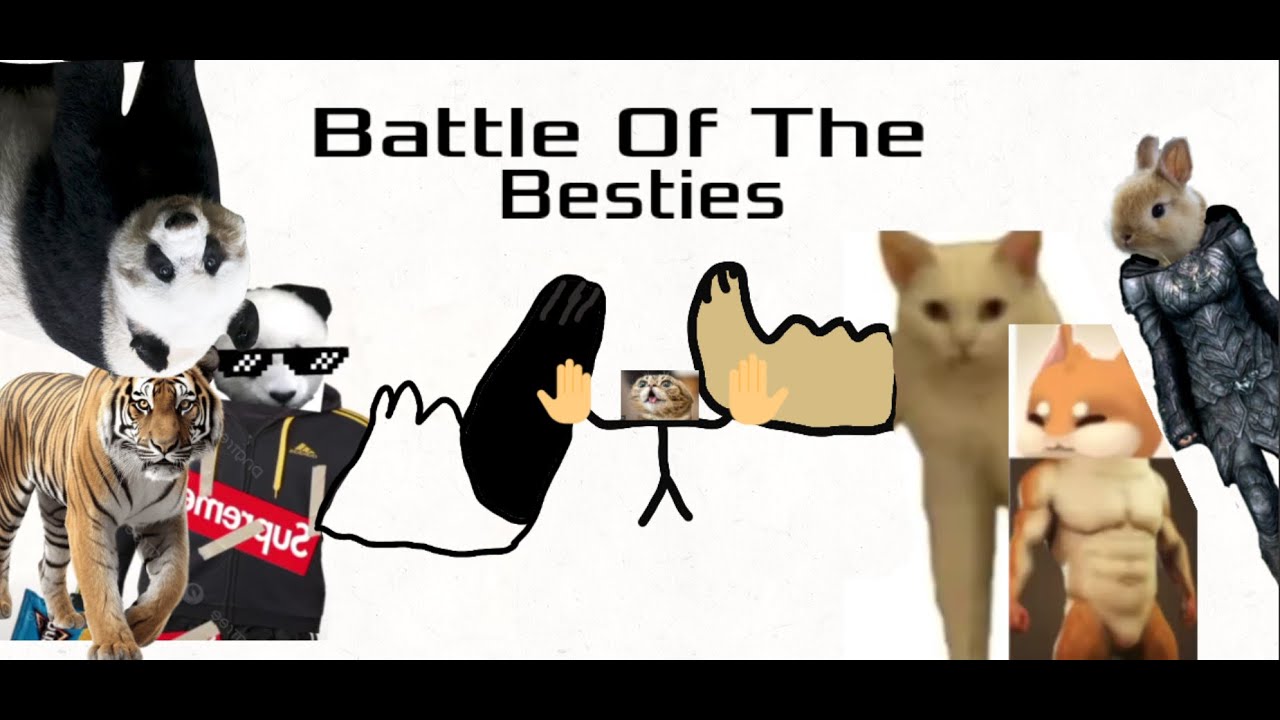 Battle Of The Besties