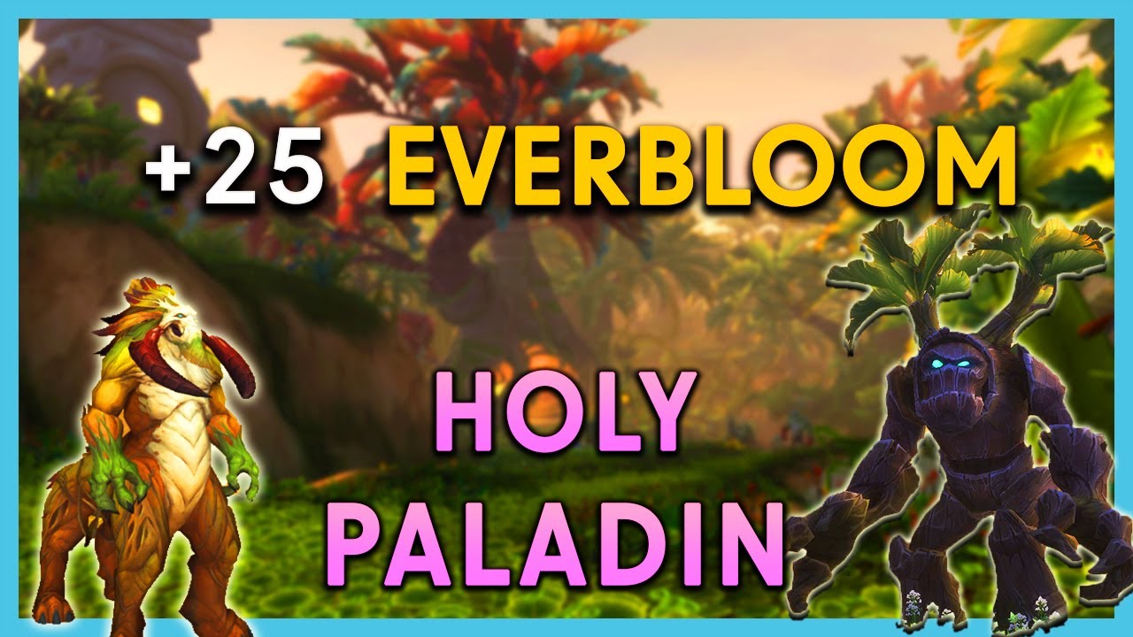 +25 Everbloom 🍀 Holy Paladin PoV ⚔️ Dragonflight M+ Season 3
