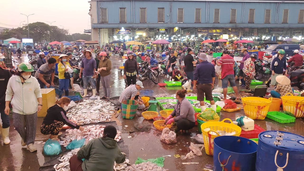 Chợ đầu mối bình điền sáng chủ nhật đông nghẹt tôm càng 120k cá biển 35k cá tầm 180k 