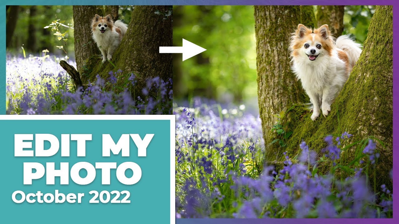 Edit My Photo - October 2022