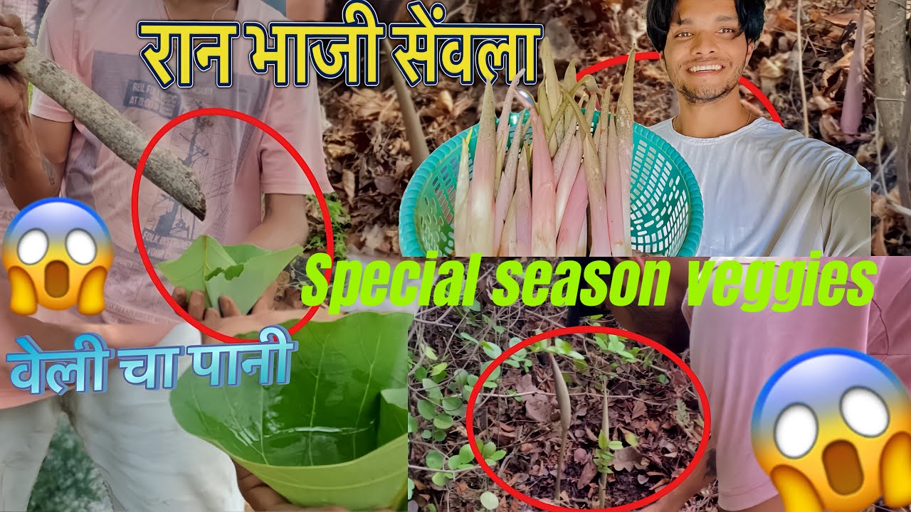 रान भाजी सेवला /Junglee Sabji ￼ Sevla Mile Or Pyas Lagne Par Mene Ye Kya Pi Liya ? 🫣😱