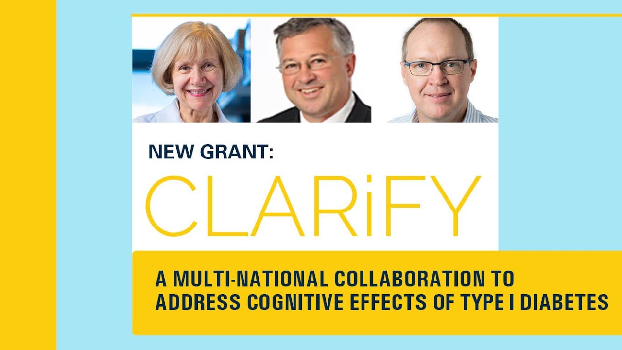 CLARiFY Neurodevelopment in Type 1 Diabetes