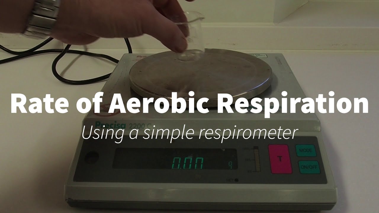 Simple Respirometer IGCSE/A Level Biology