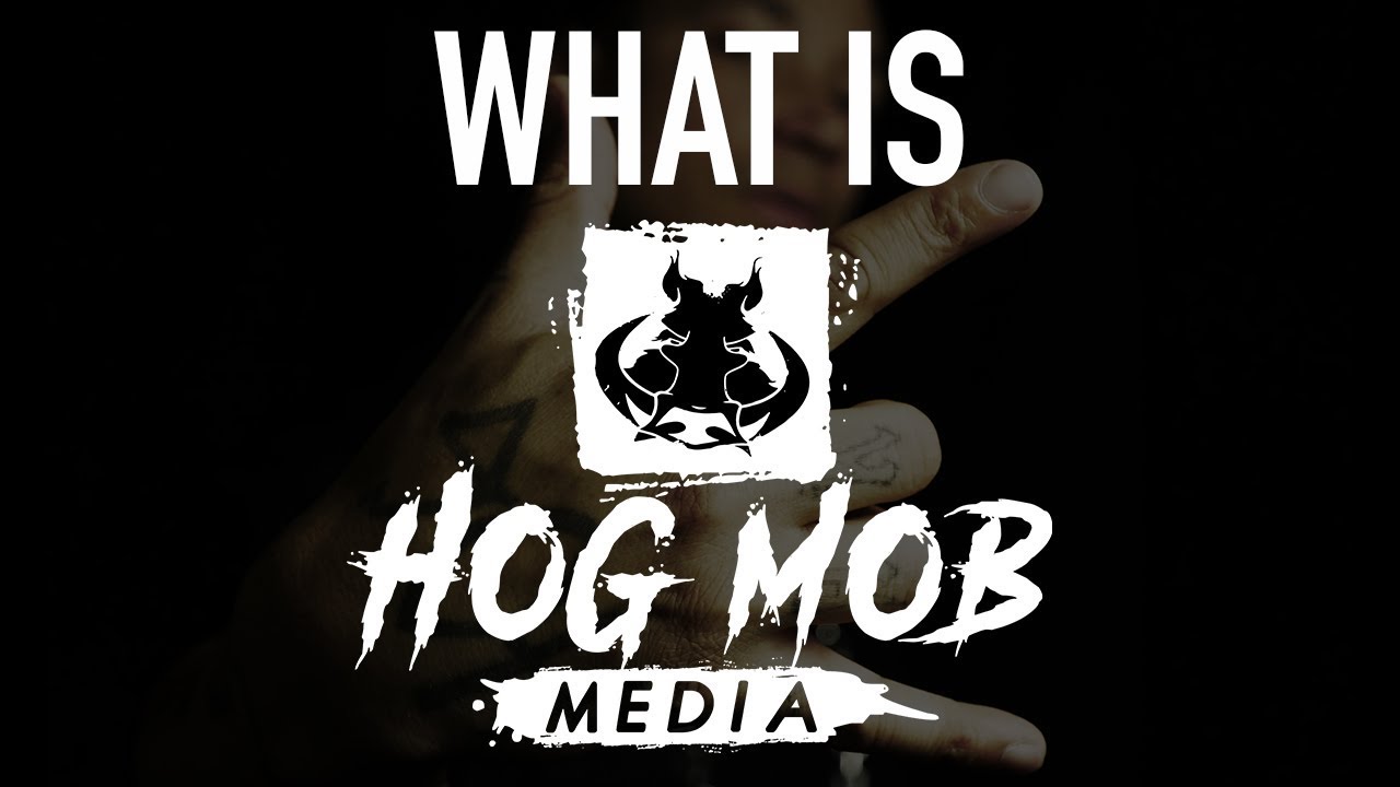 SEVIN SPEAKS - HOG MOB MEDIA?!! updates and MORE!