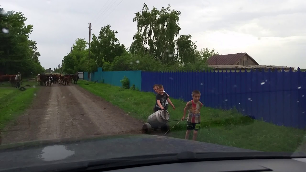 04.06.2017 Мирная Долина, пастух.