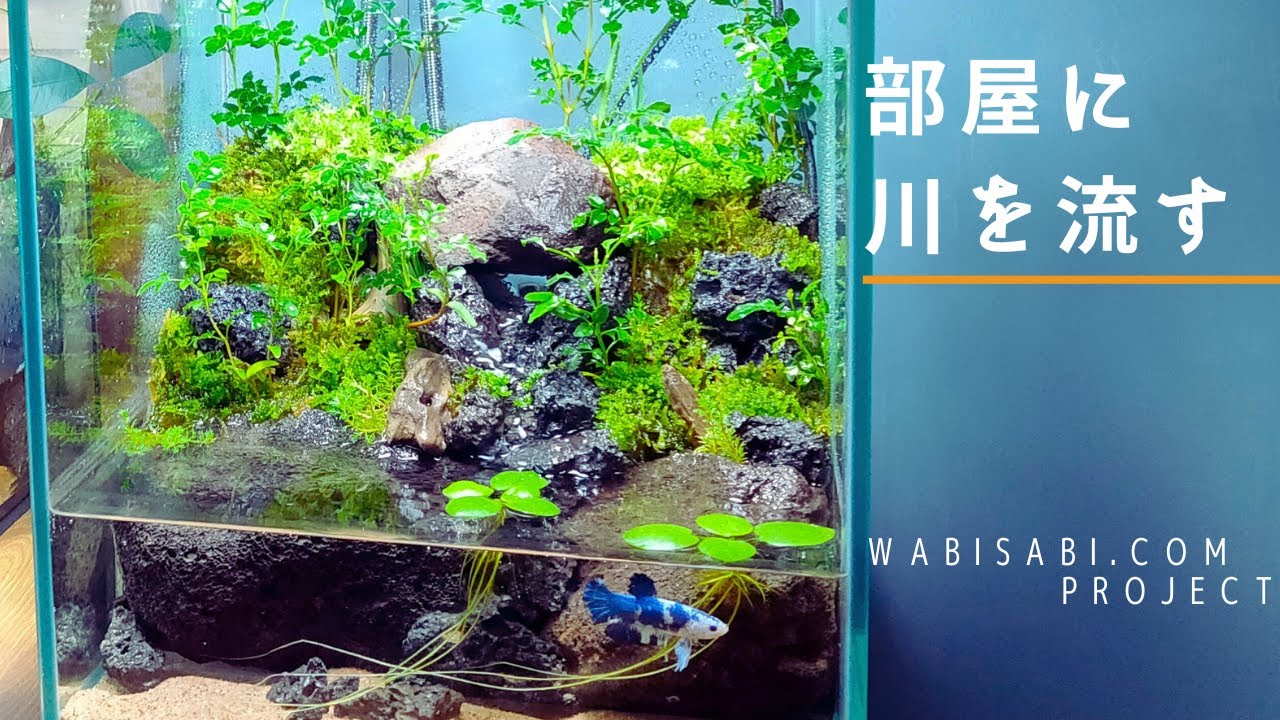 【アクアテラリウムの作り方】小川の流れる水槽レイアウトを作る