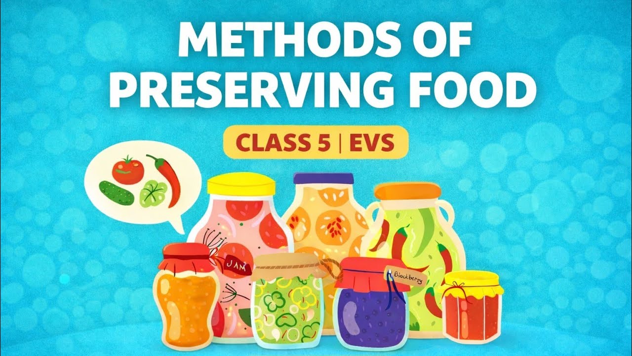 🌾Methods Of Preserving Food🌾 | 📘Class 5 EVS 📔Chapter 13🔍|part 3🌿 | Simple & Easy Explanation 🌿