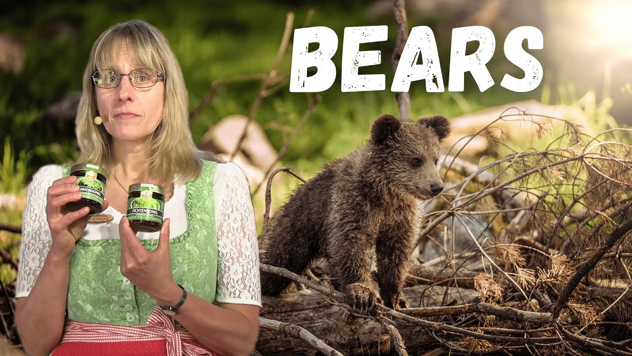 # Episode 14: Bears | House of 1000 Clocks TV