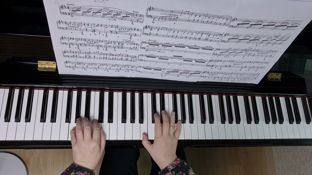 Jean Sibelius The Spruce Op.75 No.5 #가문비나무 