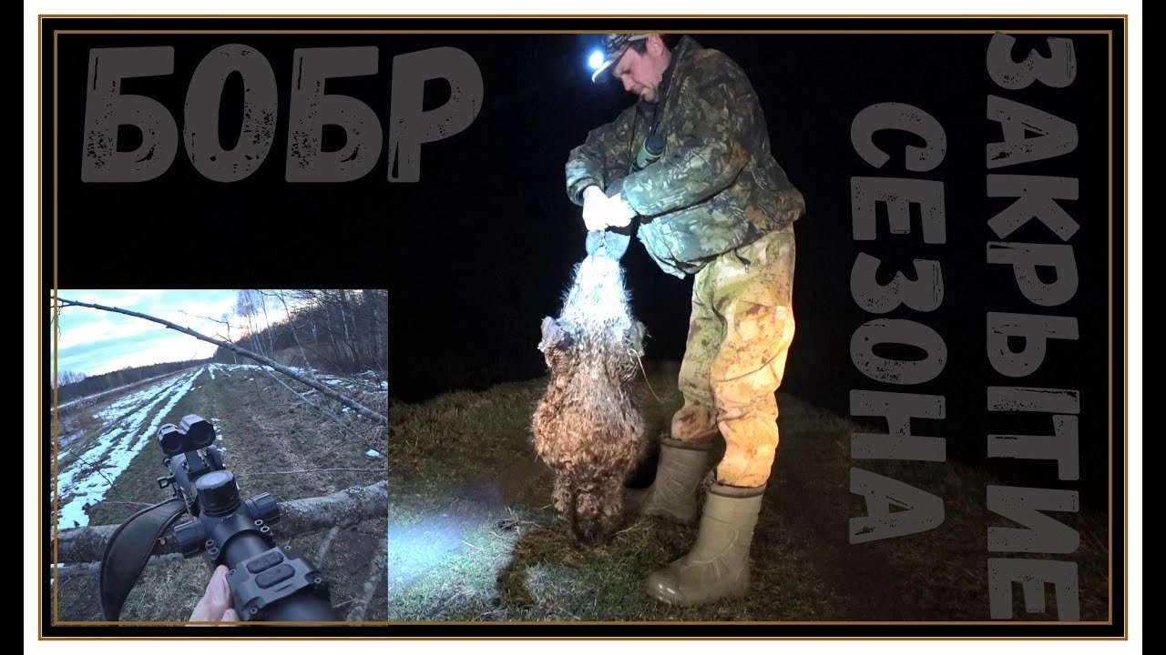 ДОБЫЛ хорошего БОБРА!!Закрыл сезон.ВИДЕО С ПРИЦЕЛА PARD DS35-70 LRF !!