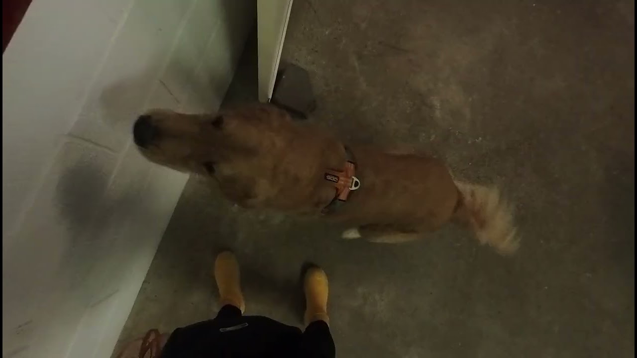 Valentine’s Day Ultimate Search