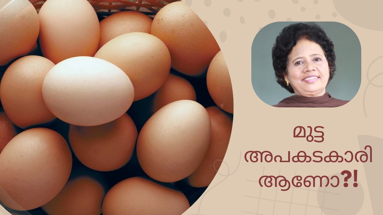 എത്ര മുട്ട എങ്ങനെ കഴിക്കണം | Dr Lizy K Vaidian