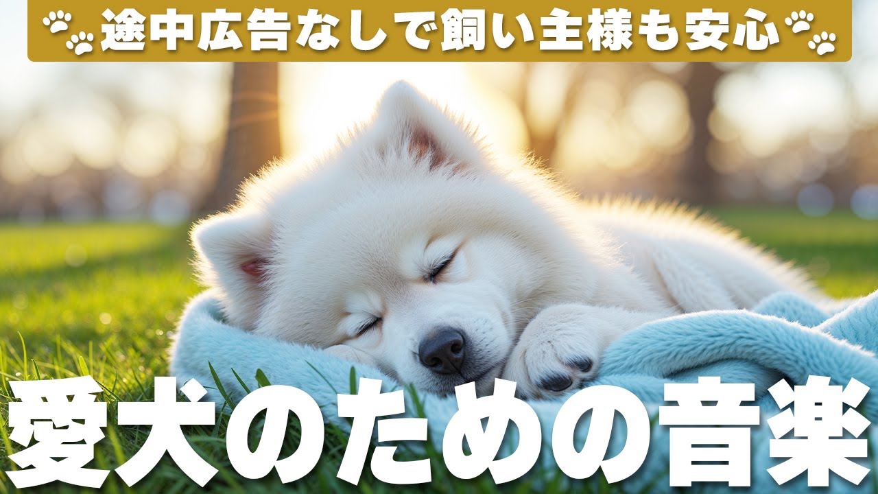 犬が落ち着く音楽 (12時間広告なし) 🐶 愛犬が寝る音楽 | 分離不安解消 / vol.737