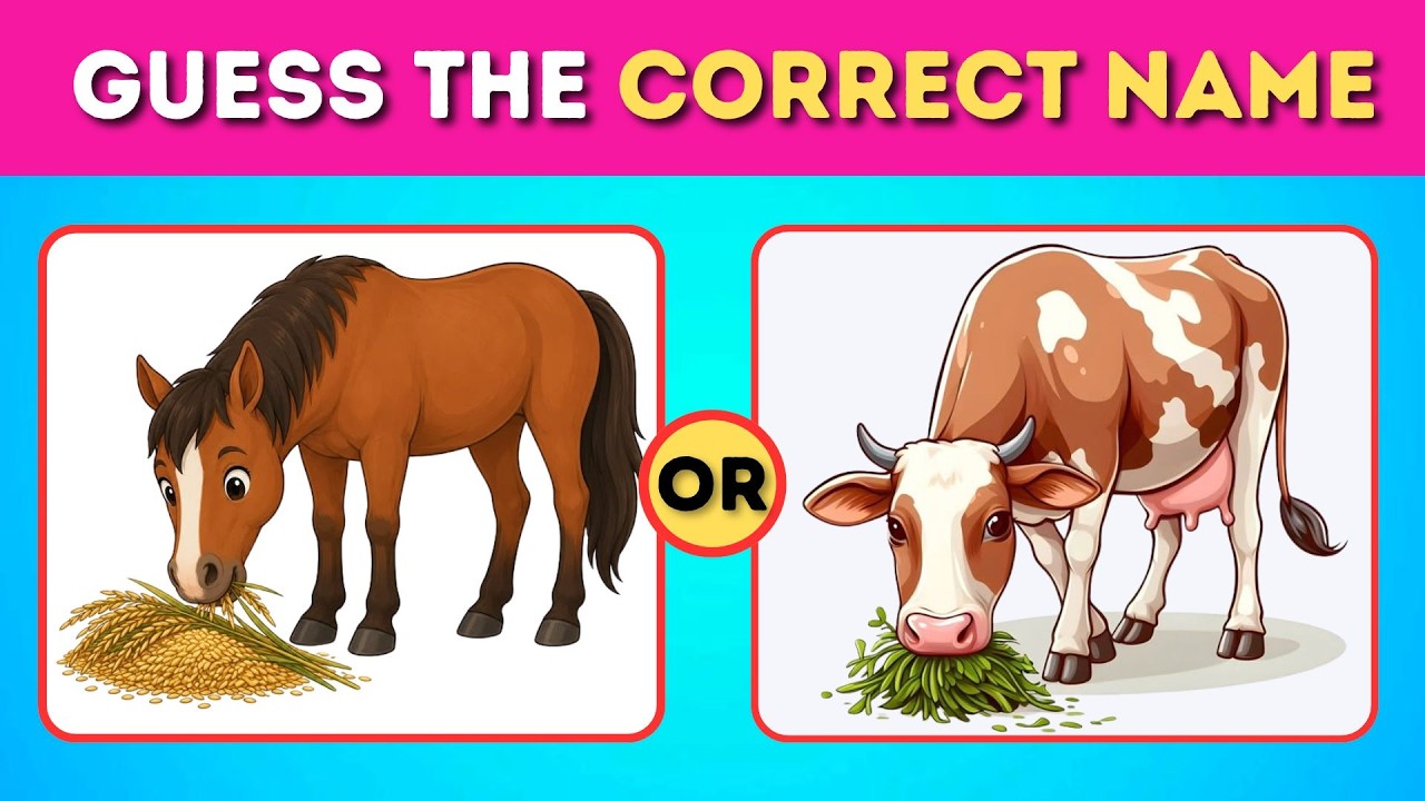 Guess The Animal Name | Quiz for animals | Learn Animal names / Kids Universe TV