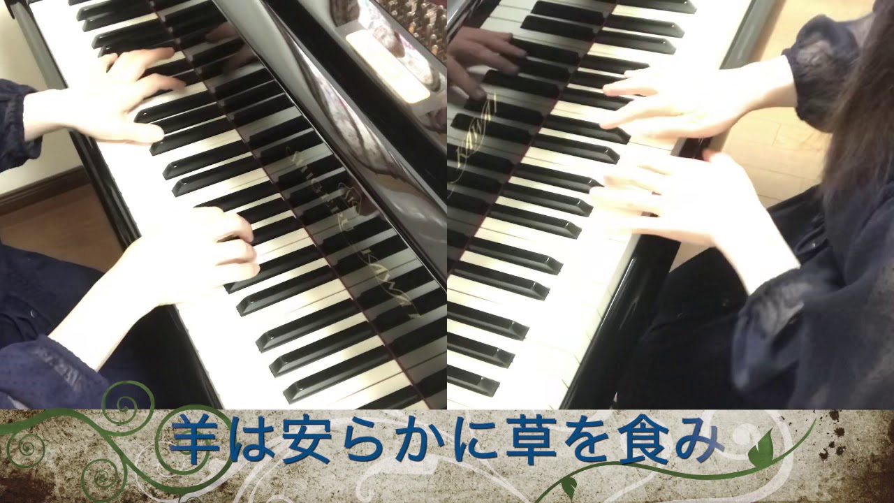 羊は安らかに草を食み(Sheep May Safely Graze)〜J.S.Bach♪