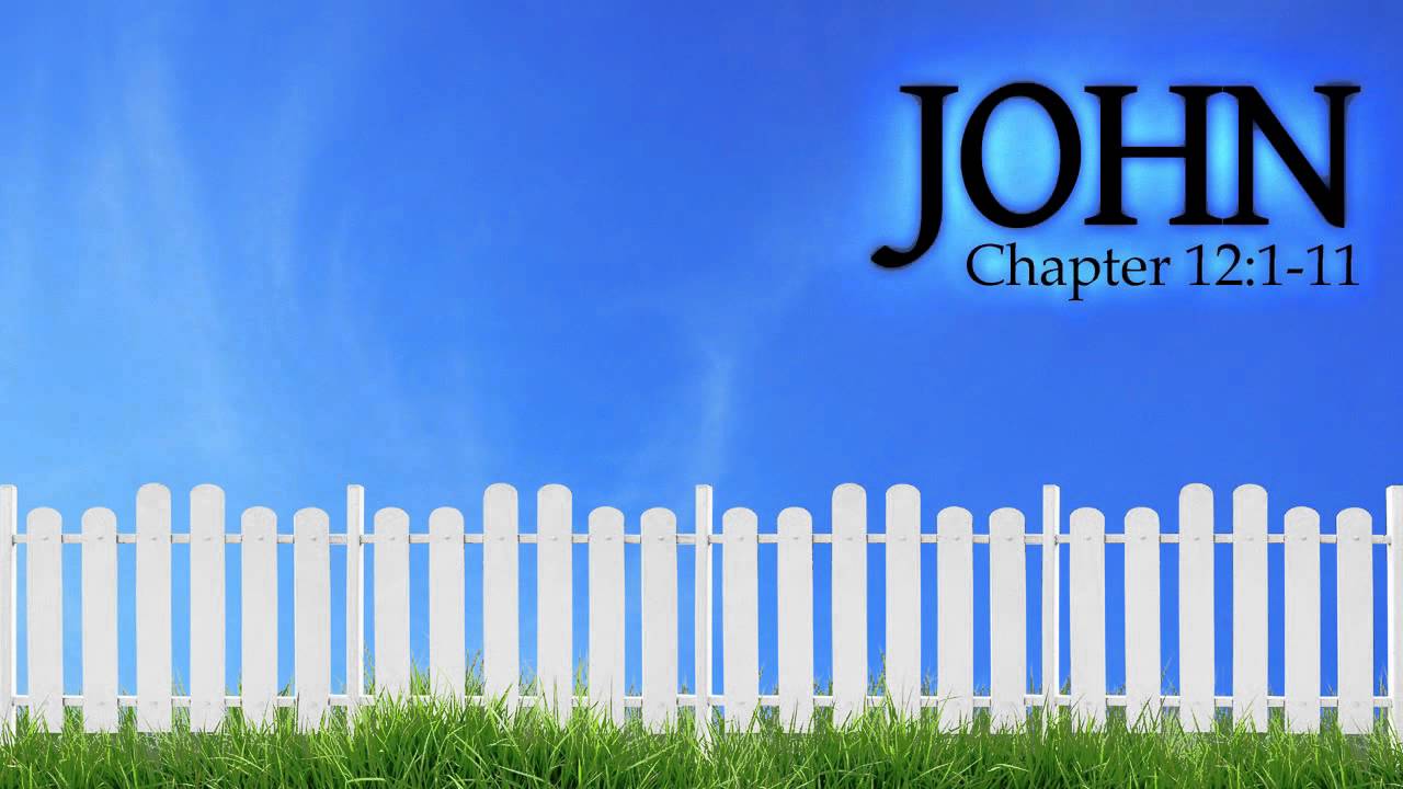 Verse by Verse - John 12:1-11
