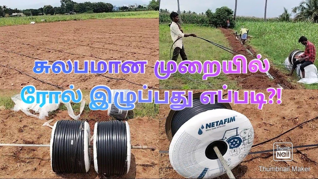 வயலில் சொட்டுநீர் பைப் பரப்புதல்| NK SAKA| Drip irrigation installation/contact: 6374879796
