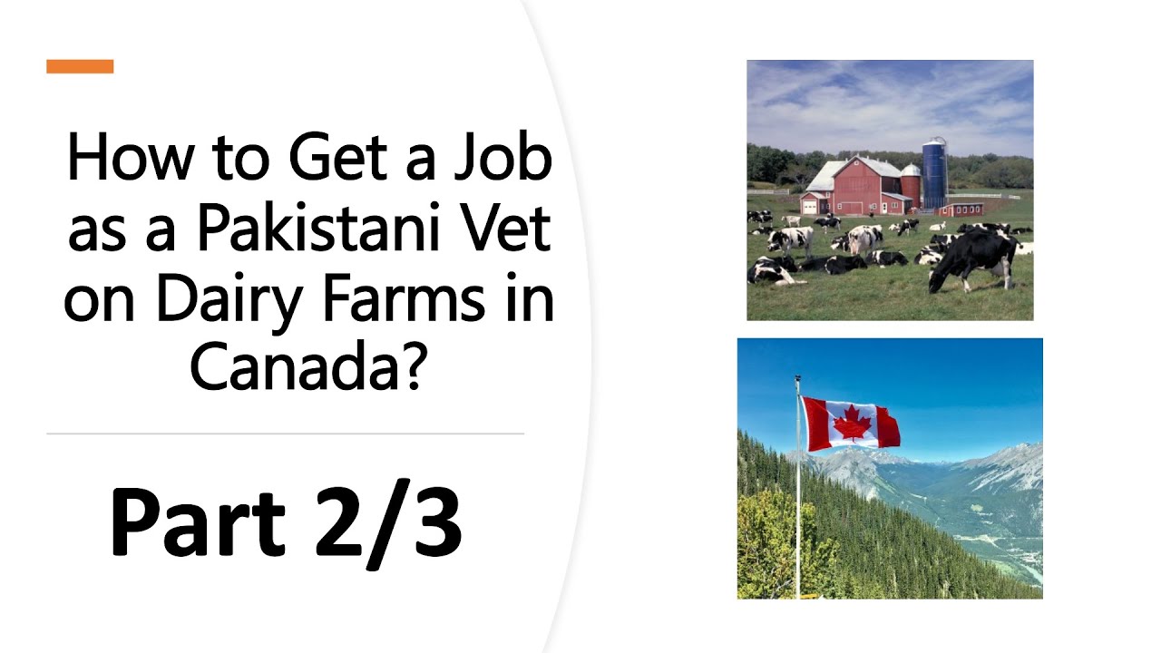 Part 2/3 - Dairy Farm Jobs in Canada