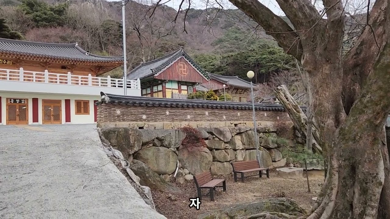 20230126 은하사, 한국의 전통사찰, Eunhaesa Temple, Korean traditional temple,