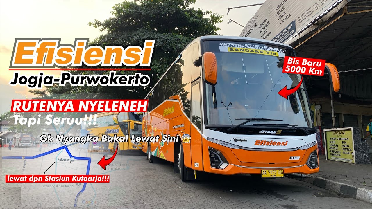 Naik Bus Baru Efisiensi Jogja ke Purwokerto Lewat Jalur Tak Biasa! Rasa Private Trip 😱