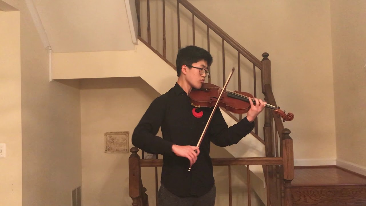 Carl Stamitz: Viola Concerto in D Major, Op. 1