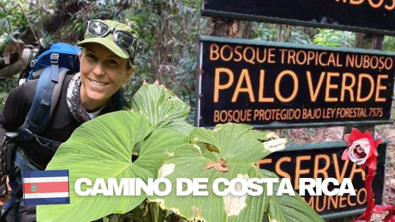 Cloud Forest Hike | Stage 9 of Caminos de Costa Rica