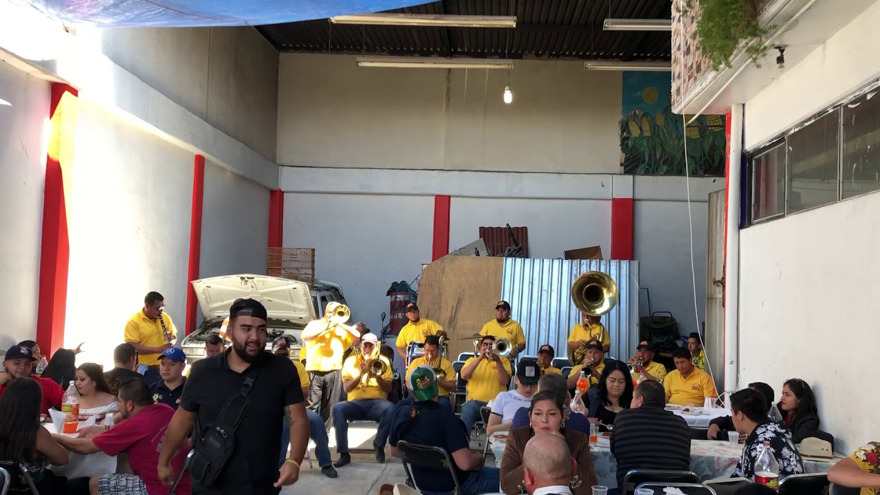 Gato Montes - Felipe Arpero - Carnaval 2020