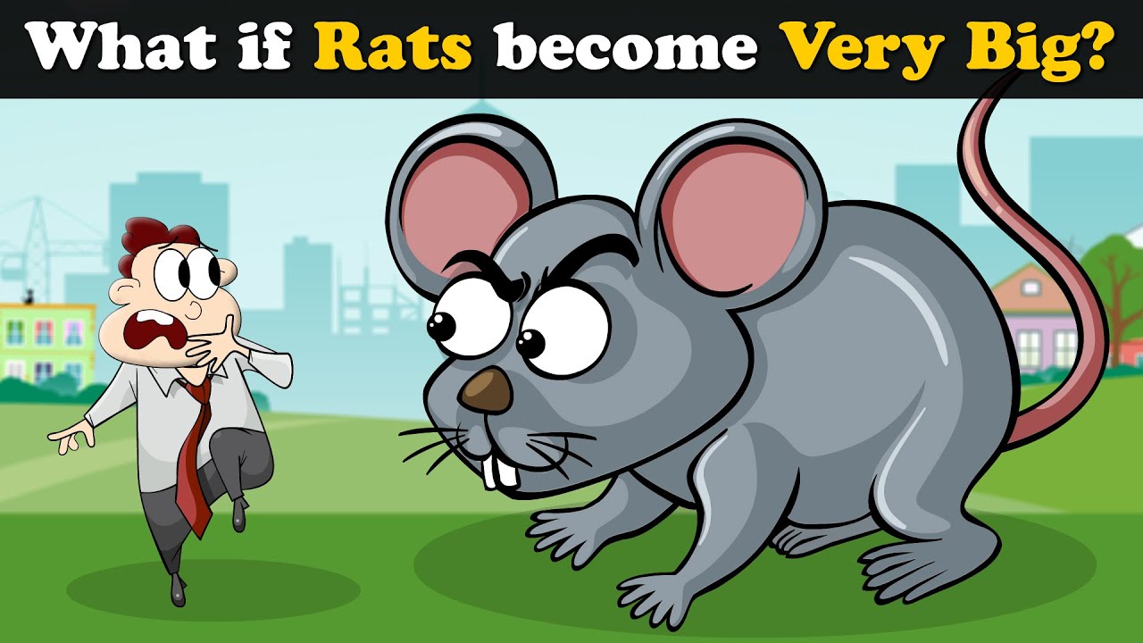 What if Rats become Very Big? + more videos | #aumsum #kids #children #education #whatif
