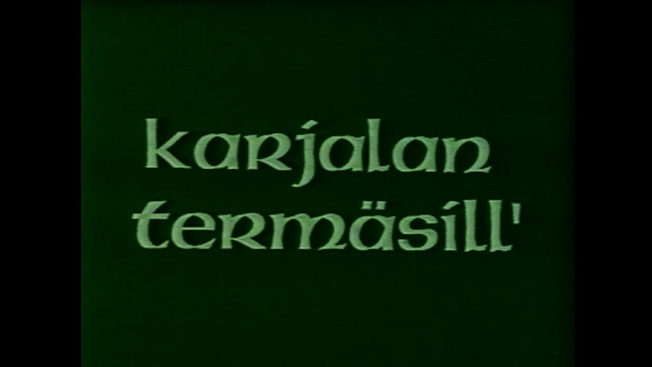 Parikkalan kuntavideot I Karjalan termäsill'
