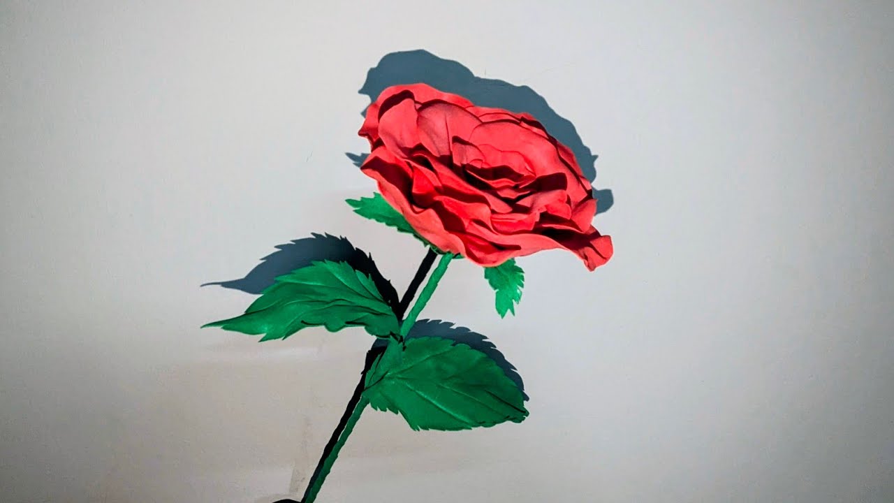 A big red rose flower