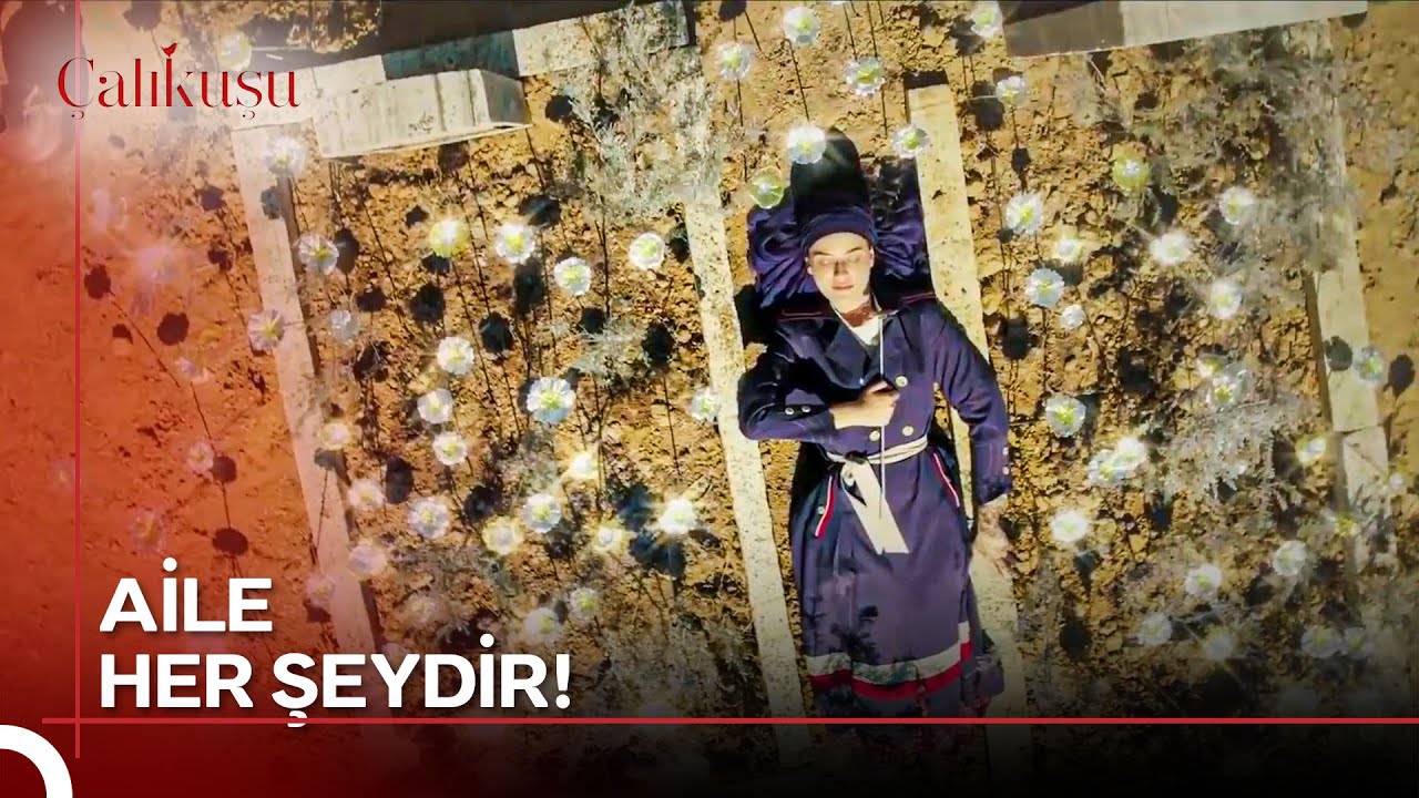 Dizlerimdeki &Ccedil;ocukluk Yaram Y&uuml;reğime Yapıştı... | &Ccedil;alıkuşu 4. B&ouml;l&uuml;m