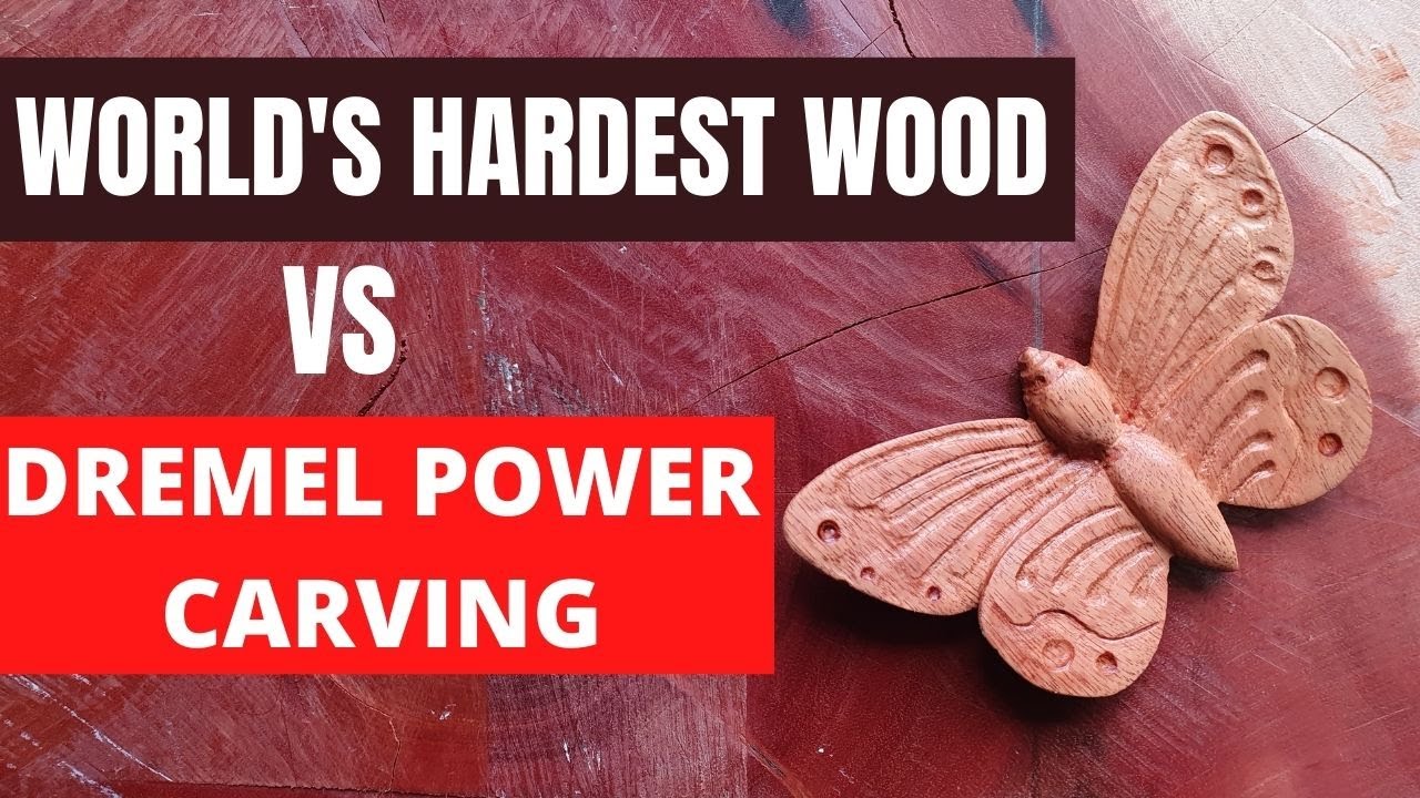 Carving  the world's hardest wood -  A butterfly with the dremel 4000