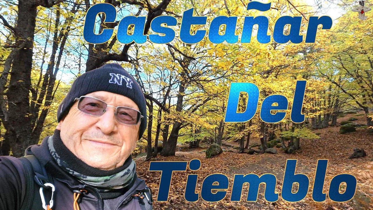 CASTAÑAR DEL TIEMBLO, AVILA.