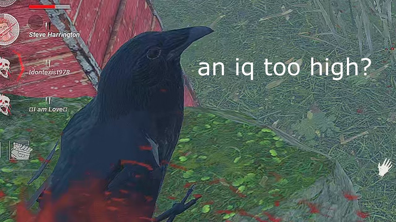 1,000 hours of dbd