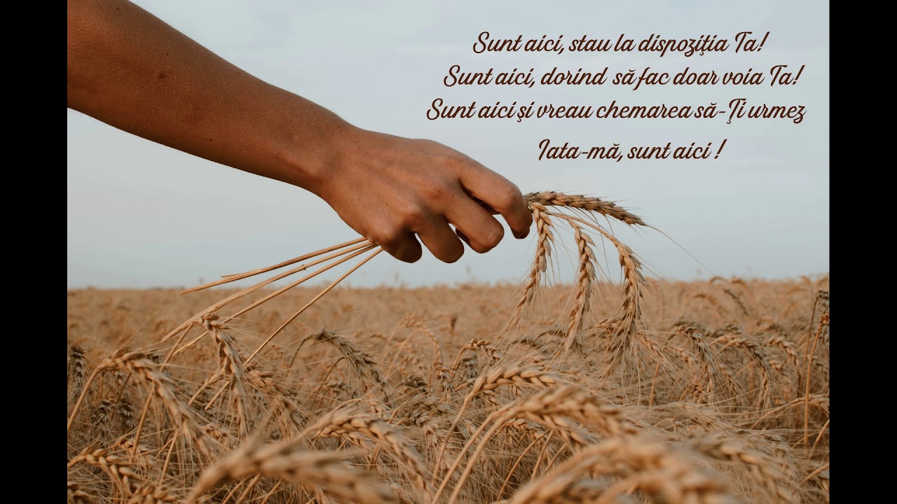 Sunt aici, stau la dispoziţia Ta