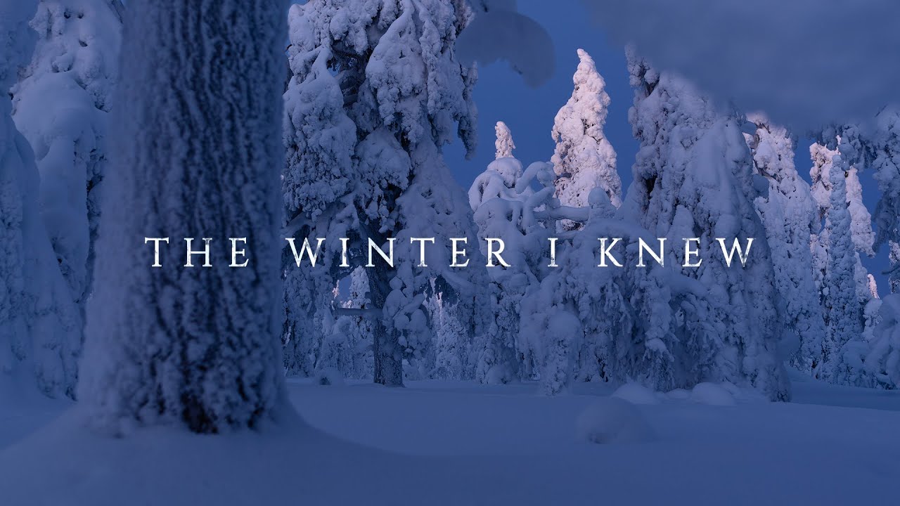 The Winter I Knew