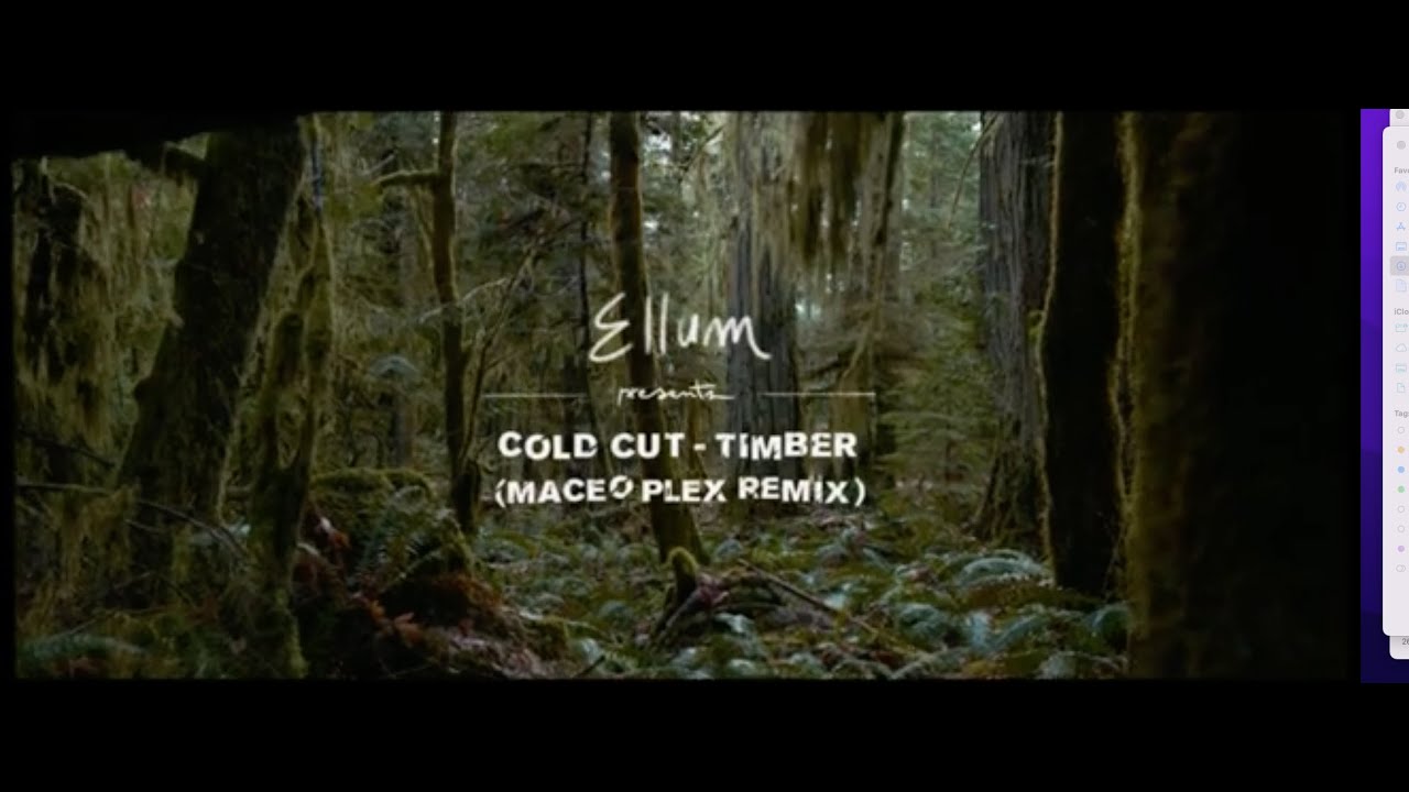 Coldcut - Timber (Maceo Plex Remix) [Visualizer]