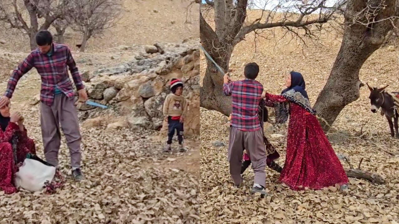 Firewood Adventure: A Day in Nature with Atabek, Shahin, and Children