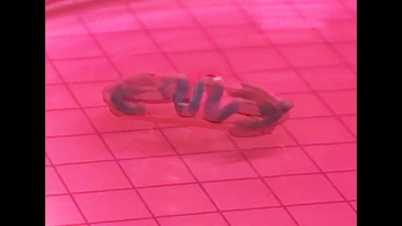 Biobots. The next generation of swimming living robots