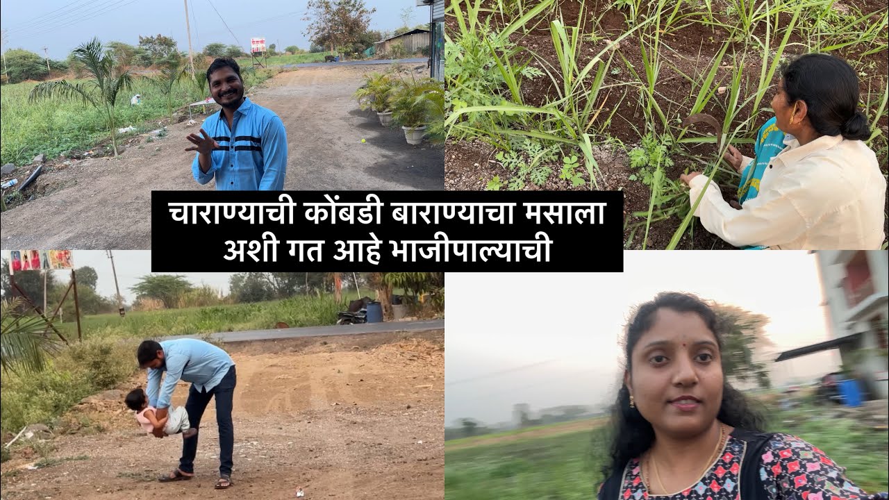 किती काम करावं लागत 