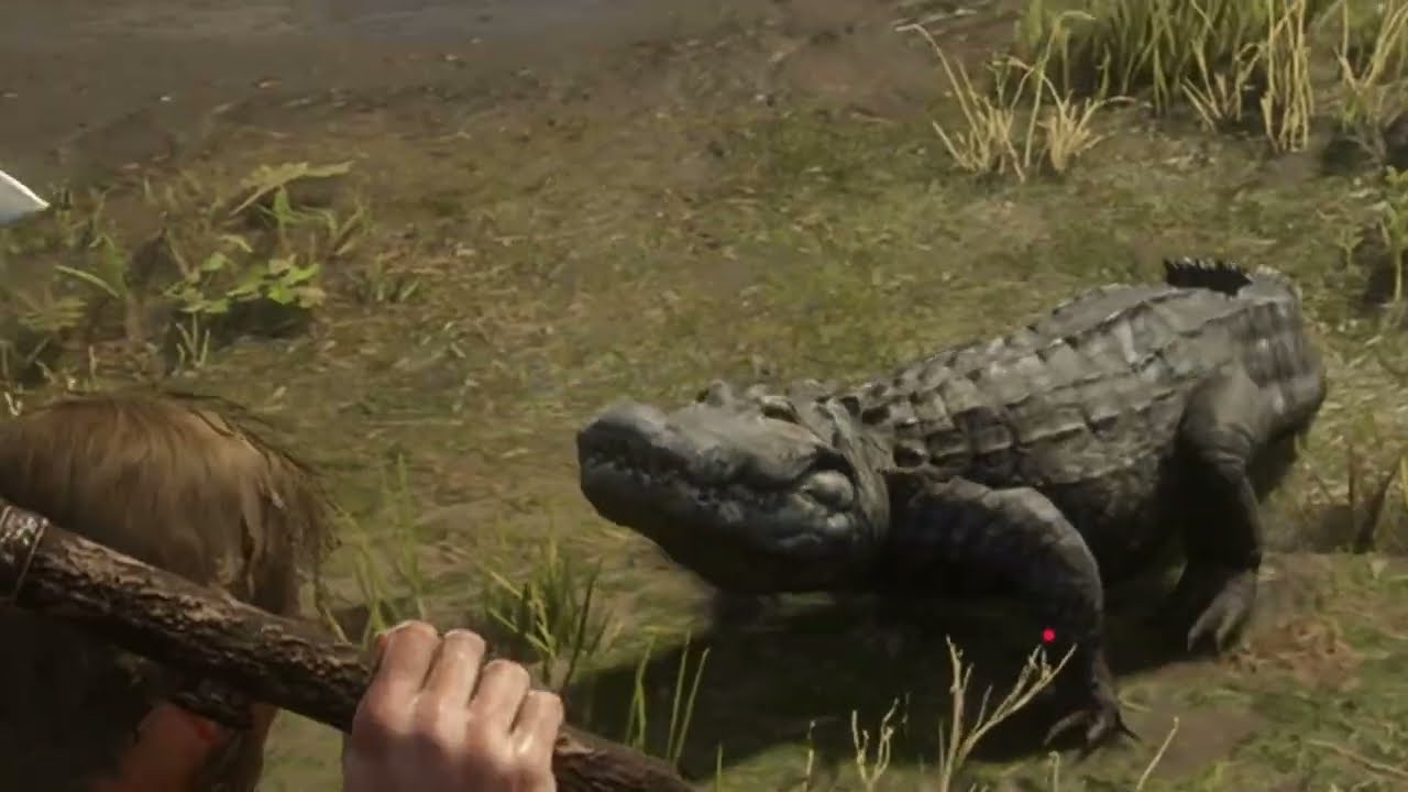 Trying to feed the gator but it backfires - RDR 2