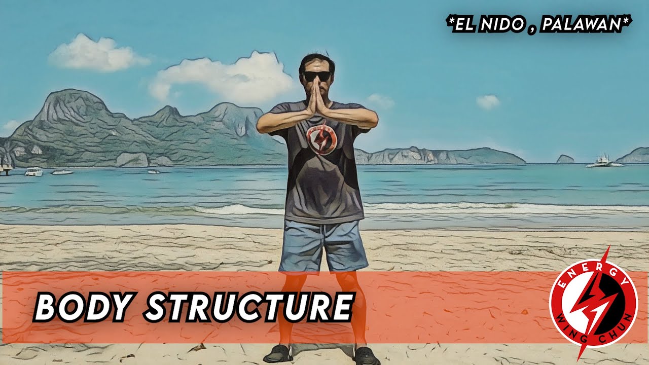 Body Structure Sil Lim Tao/ Sil Nim Tao - Wing Chun #martialarts #kungfu #mma #karate #chinese