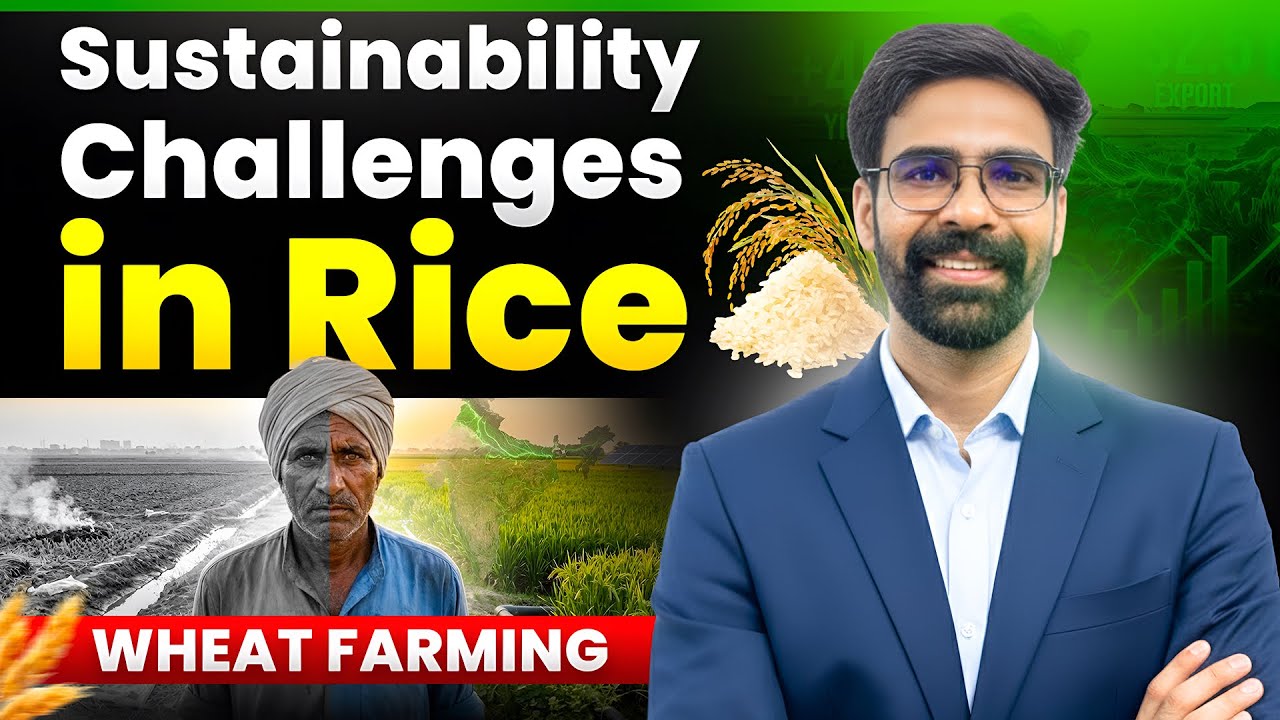 Rice–Wheat Cropping System in India | Sustainability Challenges, Causes & Solutions