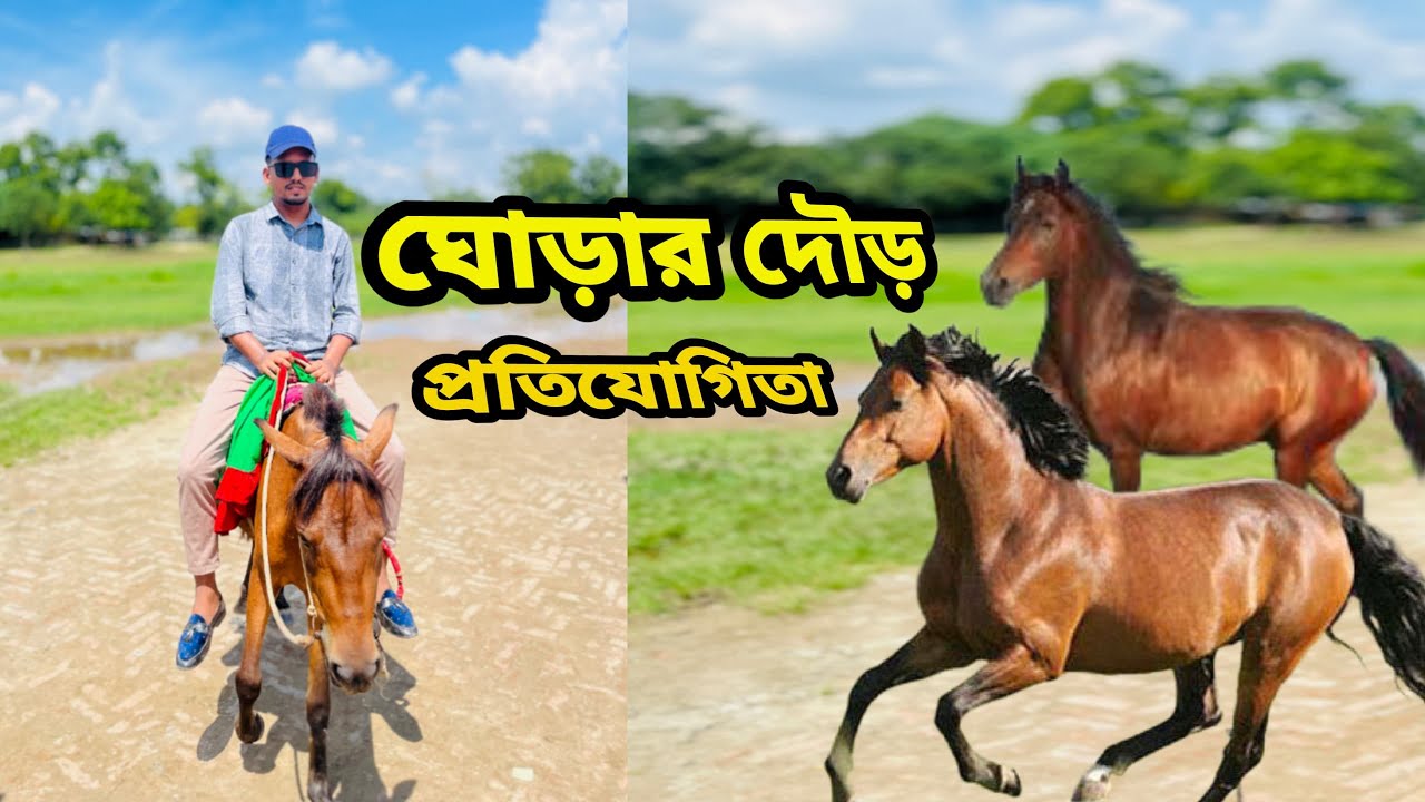 ঘুরার উদ্দেশ্যে বাড়ি থেকে বেরিয়ে ঘোড়ার দৌড় প্রতিযোগিতা দেখা হয়ে গেল horse racing gazipur park 🐎